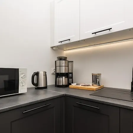 Lejlighed Vintage With One Bedroom In By Renters